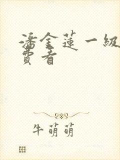 潘金莲一级片免费看