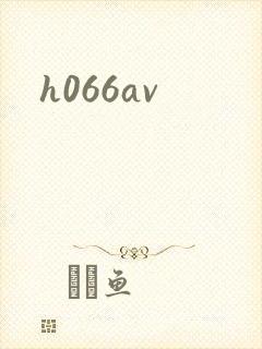h066av