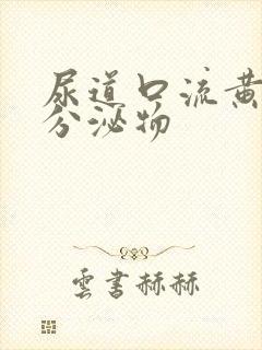 尿道口流黄色的分泌物