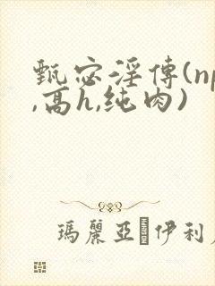 甄宓淫传(np,高h,纯肉)