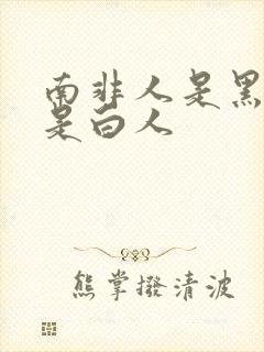 南非人是黑人还是白人