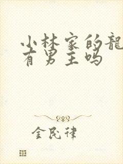 小林家的龙女仆有男主吗