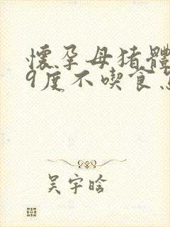 怀孕母猪体温39度不吃食怎么办