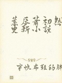 叶辰萧初然最新更新小说