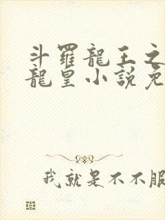 斗罗龙王之光暗龙皇小说免费阅读