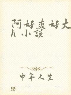 阿好爽好大好硬h 小说