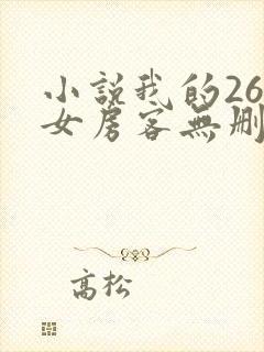 小说我的26岁女房客无删减版