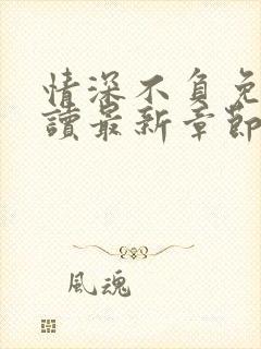 情深不负免费阅读最新章节