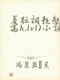 羞耻调教憋尿(高h,1v1)小说