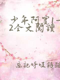 少年阿宾1—72全文阅读