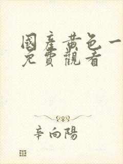 国产黄色一级片免费观看