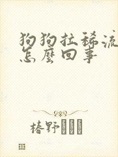 狗狗拉稀流口水怎么回事