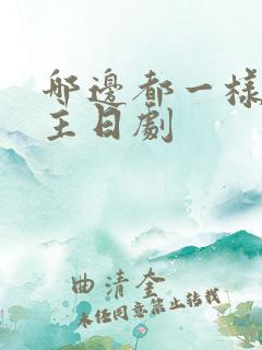 哪边都一样双男主日剧