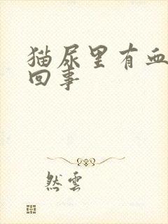 猫尿里有血怎么回事