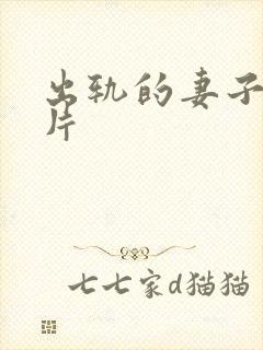 出轨的妻子伦理片