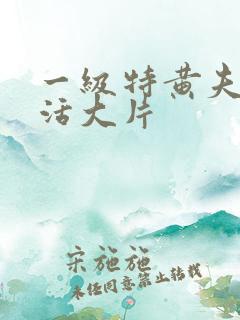 一级特黄夫妻生活大片