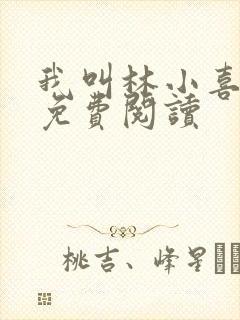 我叫林小喜全文免费阅读