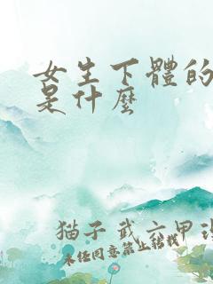 女生下体的白浆是什么