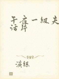 午夜一级夫妻生活片