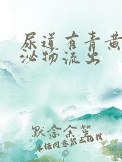 尿道有青黄色分泌物流出