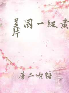 美国一级黄色一片