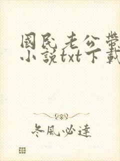 国民老公带回家小说txt下载