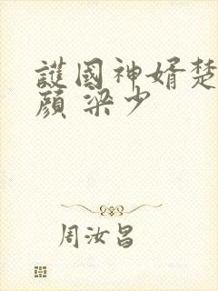 护国神婿楚尘宋颜 梁少