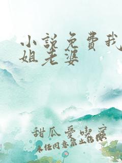 小说免费我的空姐老婆