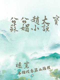 公公赵大宝儿媳苏媚小说