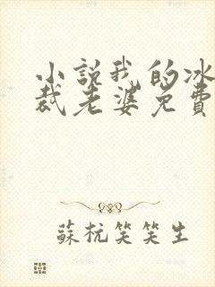 小说我的冰山总裁老婆免费看