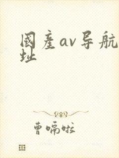 国产av导航网址