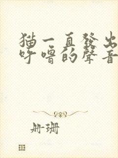 猫一直发出呼噜呼噜的声音是怎么回事