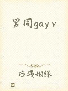 男同gay v
