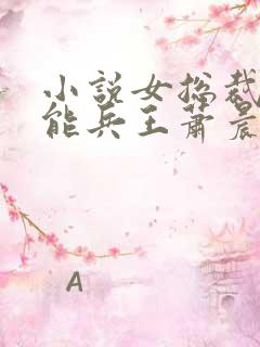 小说女总裁的全能兵王萧晨