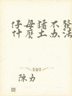 仔母猪不发情有什么土办法