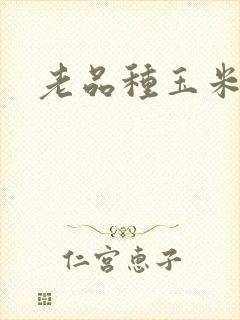 老品种玉米种子