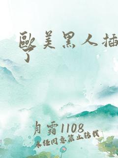 欧美黑人插进去了