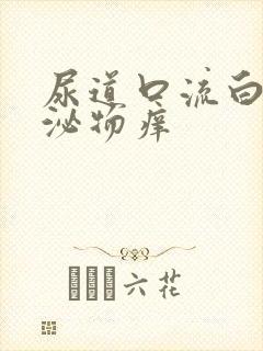 尿道口流白色分泌物痒