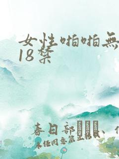 女性啪啪无遮挡18禁