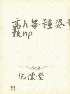 高h各种姿势调教np
