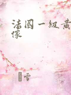 法国一级黄色录像