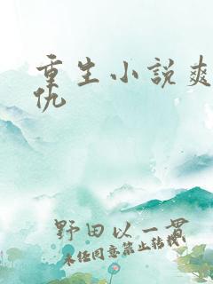 重生小说爽文复仇