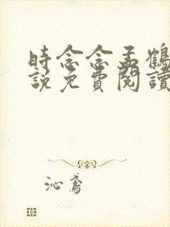 时念念孟鹤京小说免费阅读无弹窗