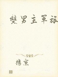双男主军旅文