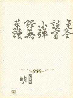 叶锋小说免费阅读无弹窗全文