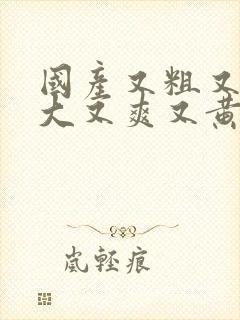 国产又粗又猛又大又爽又黄的视频