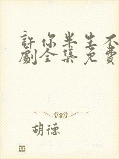 许你半生不见短剧全集免费