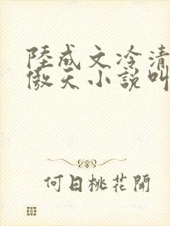 陆成文冷清秋龙傲天小说叫什么名字