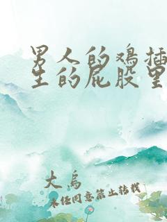 男人的鸡插进女生的屁股里