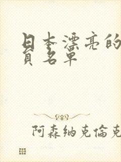 日本漂亮的女演员名单